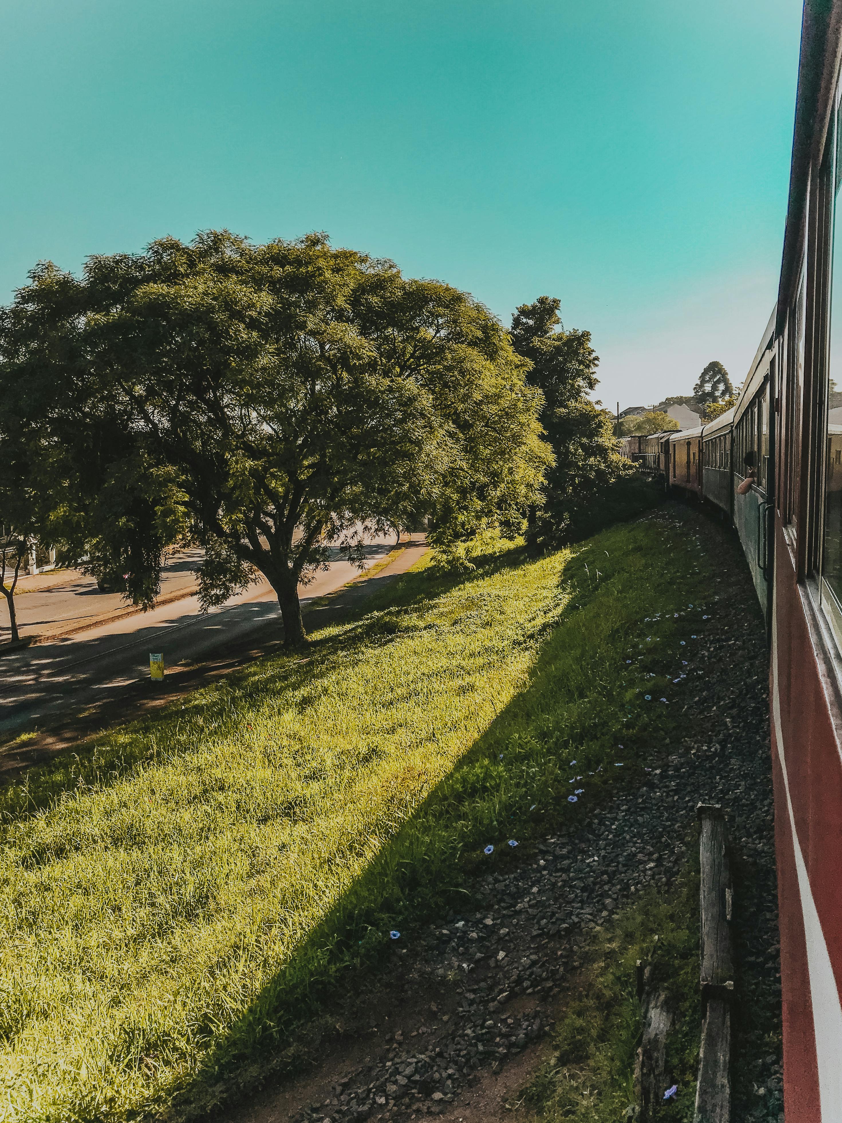 Trem de Morretes